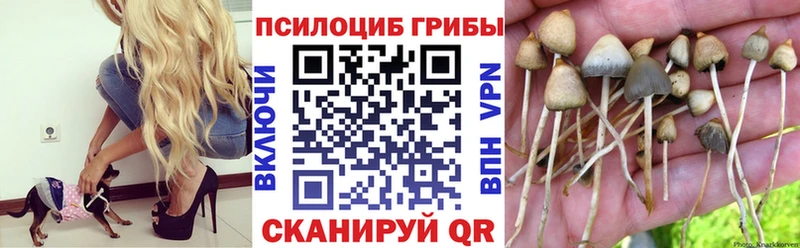 Псилоцибиновые грибы Magic Shrooms Комсомольск-на-Амуре